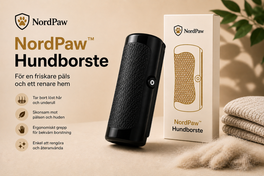 NordPaw™ Hundborste